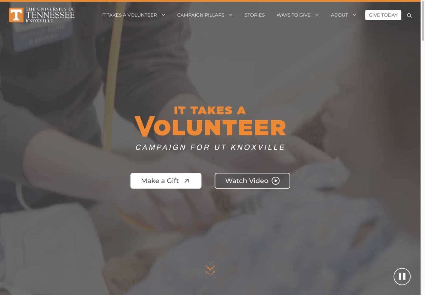 It Takes a Volunteer Campaign website