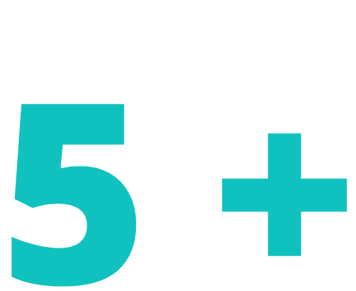 6-3-1