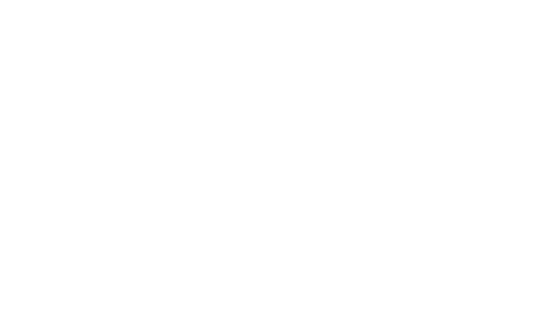 D&Y