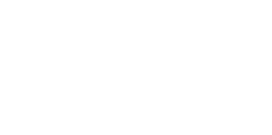 Swyft Fiber